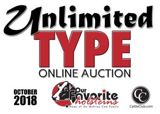 Unlimited Type Sale