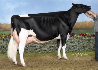 Benrise Goldwyn Jojo