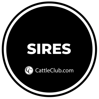 SIRES