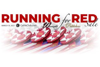 Running for Red - March 19, 2021