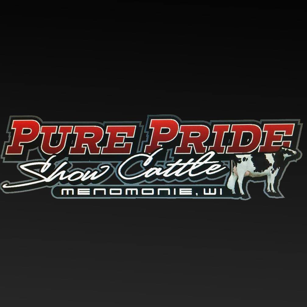 Pure Pride Show Cattle