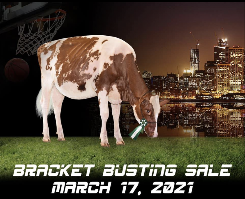 Bracket Busting 3.0 Sale Logo