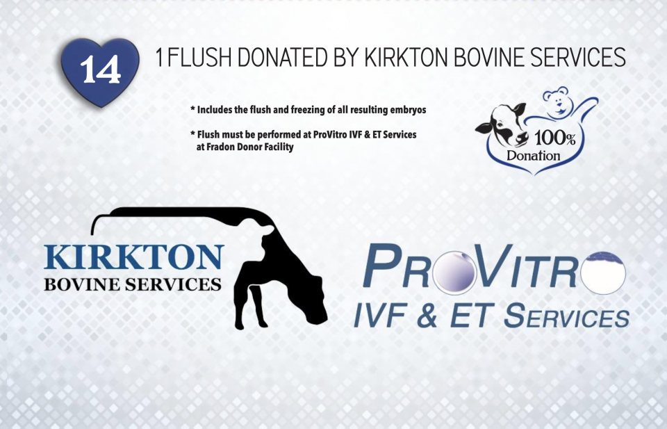 1 FLUSH DONATED BY KIRKTON BOVINE SERVICES