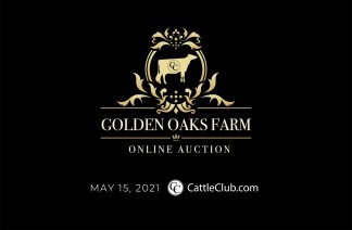 Golden Oaks 1