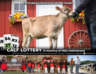 BHHD Calf Lottery in memory of Mike Hellenbrand