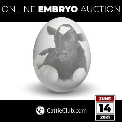 ONLINE EMBRYO AUCTION
