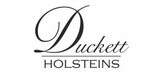 Duckett Holsteins