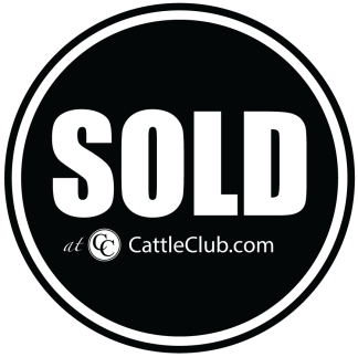 SOLD at CattleClub.com