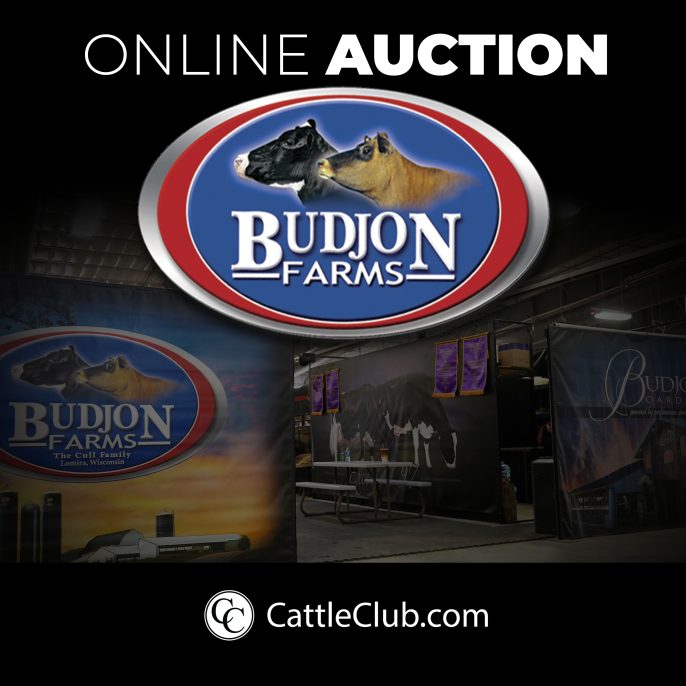 Budjon-ONLINE-AUCTION-MAR-2022