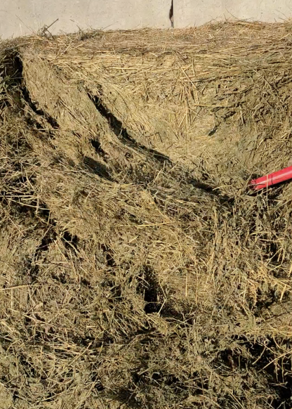 4th Crop Alfalfa Mix Hay