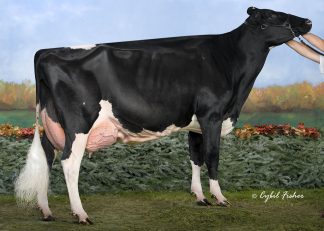 Winterbay Goldwyn Lotto