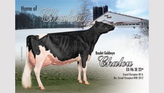 Same family: Boulet Goldwyn CHALOU EX-3E 26*