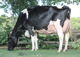 Pierstein Cicero TIME OUT EX-95-5YR