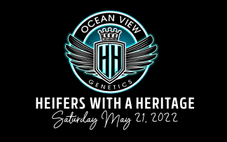 Ocean View Heifers with a Heritage - May 21, 2022
