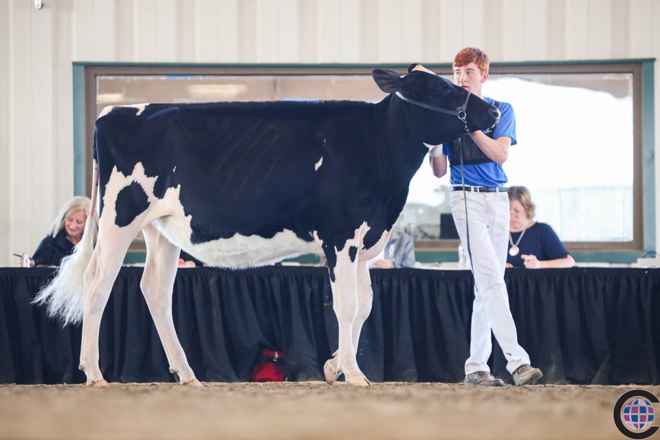 2nd Jr Ohio North American Dairy Show 2020