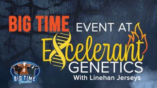 Big Time Event at Linehan Jerseys & Excelerant Genetics