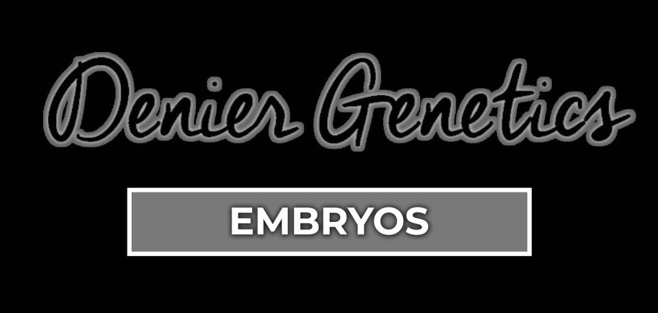 DENIER GENETICS EMBRYOS