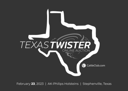 Texas Twister Online Auction