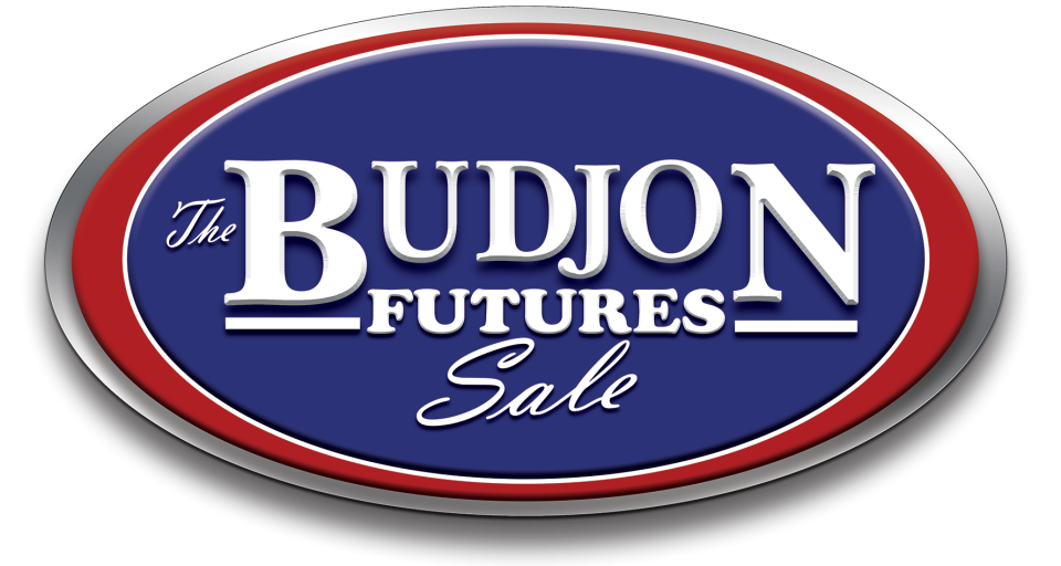 Budjon Futures Sale Logo