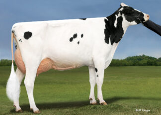 Jeffrey-Way Symer-ET EX94