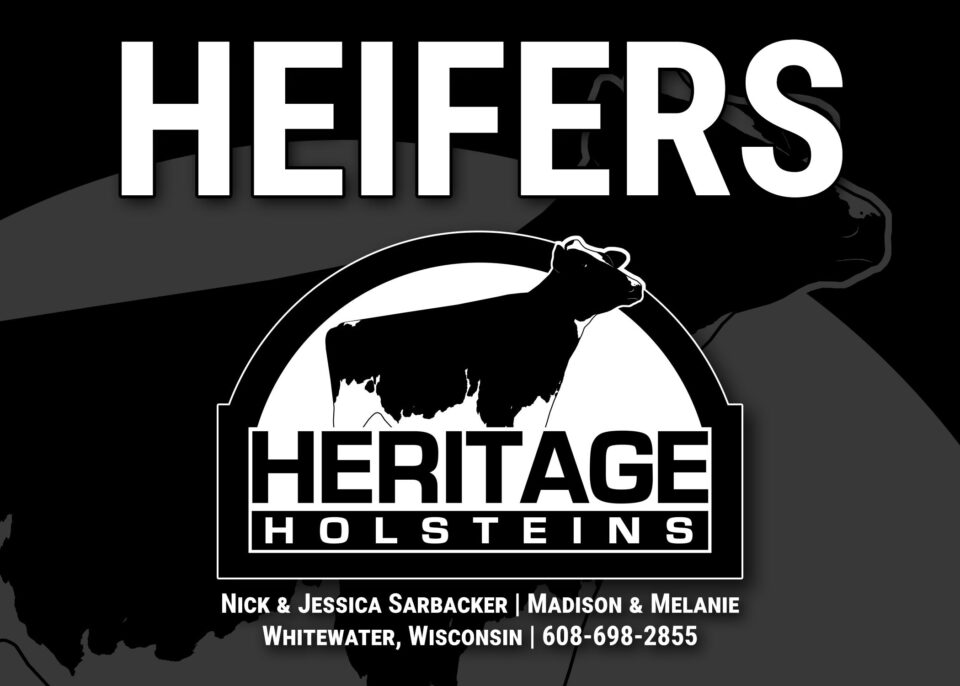 Heritage Heifers