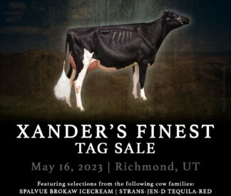 Xander's Finest Tag Sale - May 16, 2023