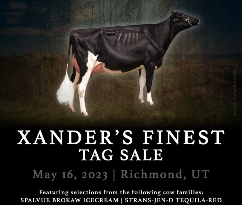 Xanders Finest Tag Sale