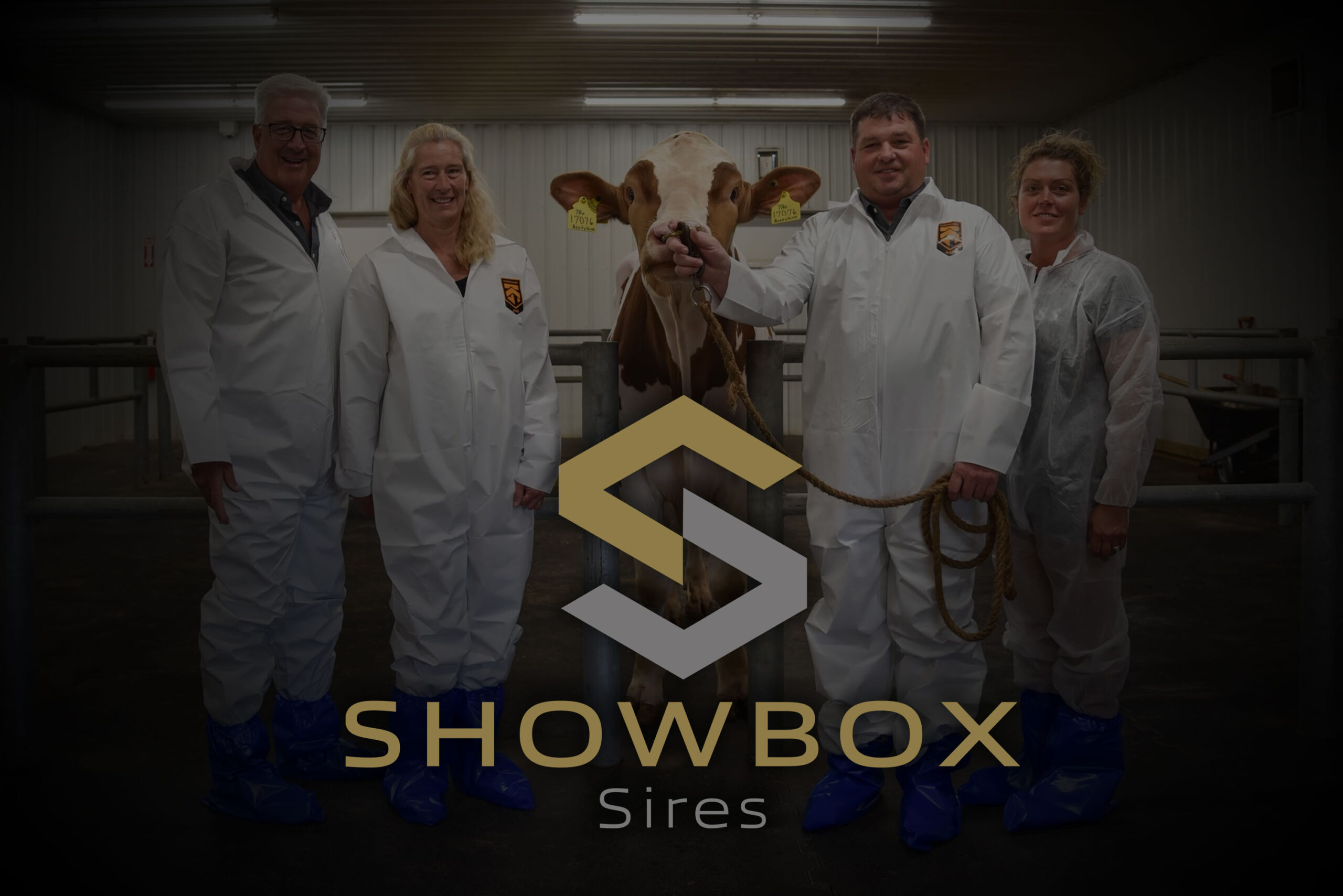 SHOWBOX SIRES OWNERS