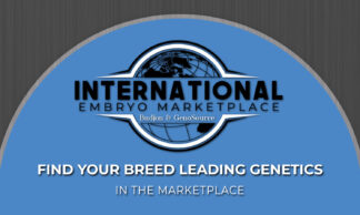 International Embryo Marketplace