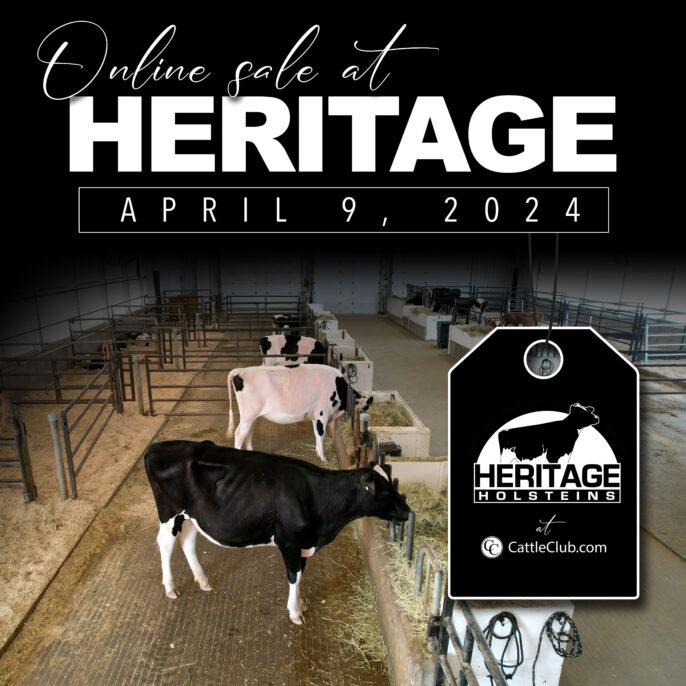 Heritage Holsteins - Online Sale - 2024