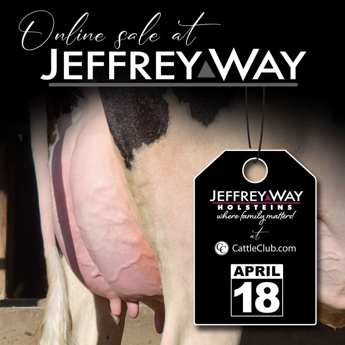 Jeffrey-Way Online Sale 2024