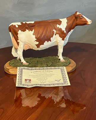 Ideal Red & White Holstein Cow Model